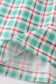 Blue apple french knot plaid dress