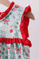 Strawberry Goose Ruffle Ruffle Dress