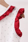 Maroon Alabama Elephant Applique Dress